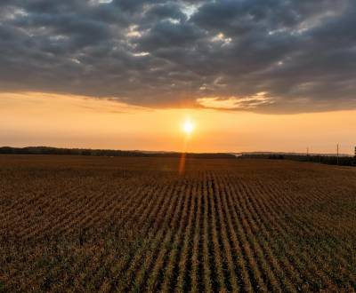 Lekárovce – Podiel na ornej pôde v intraviláne