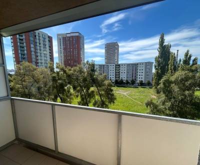 Priestranný 2 izbový s logigiou v Petržalke