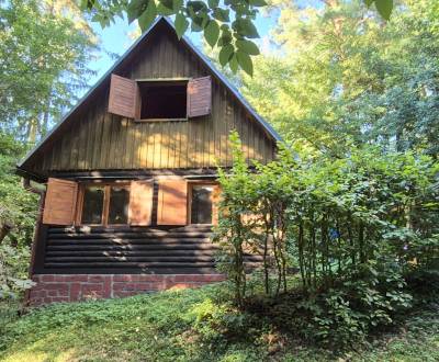Predaj: Romantická rekreačná chata uprostred lesa vo Varíne (MO)