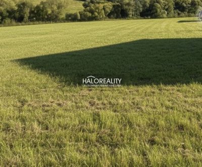 Predaj, rekreačný pozemok Papradno