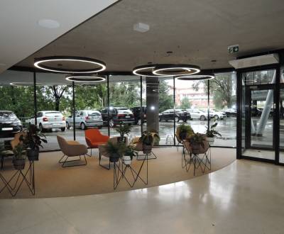 Prenájom moderných kancelárií na začiatku Petržalky 24 - 96  m2
