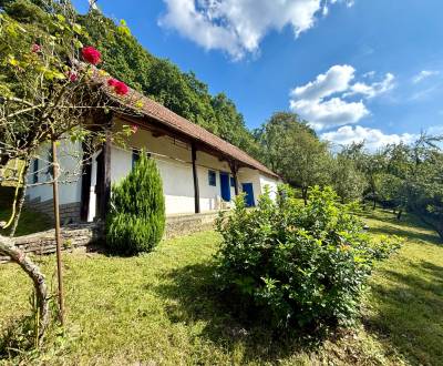 VIDIECKY DOMČEK NA MYJAVSKÝCH KOPANICIACH s POZEMkom 1072m2