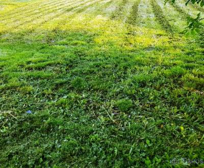 Pozemok na výstavbu rodinného domu v okrajovej časti  mesta Michalovce