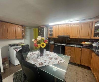 Rodinný dom v obci Topoľnica, s veľkým pozemkom