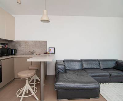 BLUMENTÁL - prenájom 2 izbového bytu v novostavbe