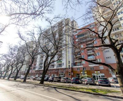 Parkovacie státie v podzemnej garáži, JÉGÉHO ALEJ