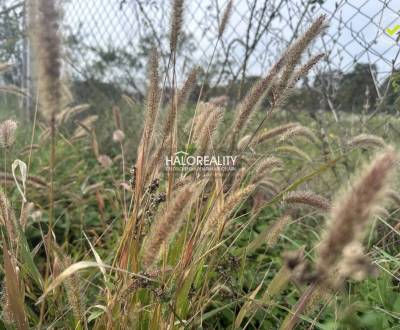 Predaj, pozemok pre rodinný dom   1213 m2 Zlaté Mora...