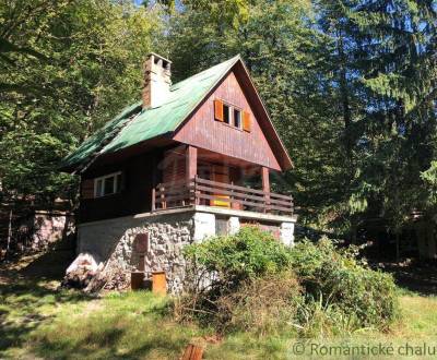 Chata v úžasnom lesnom prostredí Karpát nad obcou Limbach s vlastným p