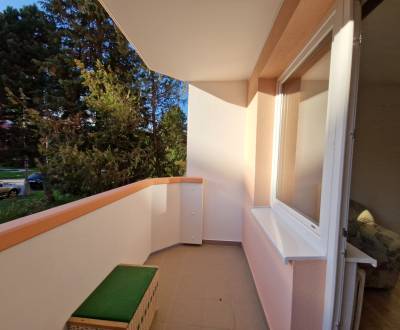 PRENAJATÝ 1-izbový byt s loggiou na prenájom • Senica • Štefánikova