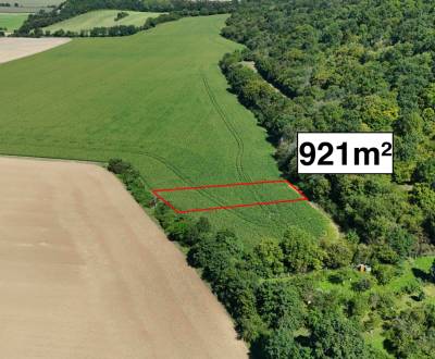 Nová Ves nad Váhom – Pozemok v 1/1 pri záhradkárskej osade