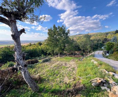 Predaj, EXKLUZÍVNE, pozemok 1302m² na Zobore, Fialková-Nitra