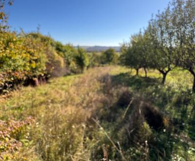 Na predaj chatka na rekonštrukciu s veľkým pozemkom – Veľké Turovce