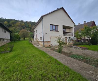 Veľký rodinný dom - Hrachovište