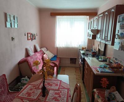  Na predaj 3-izbový byt s podkrovím, garážou a záhradou – Nová Baňa  