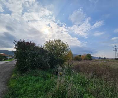 *NA PREDAJ* pozemok v obci Sokolovce