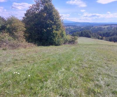 Predaj pozemkov, Malachov