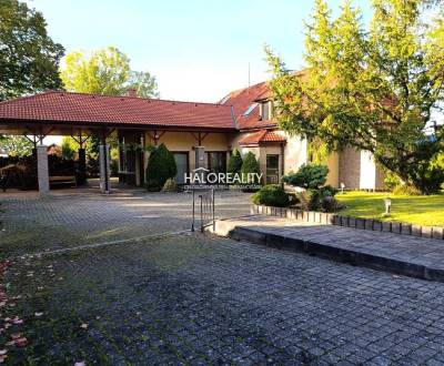 Predaj, rodinný dom Podhradie - EXKLUZÍVNE HALO REALITY
