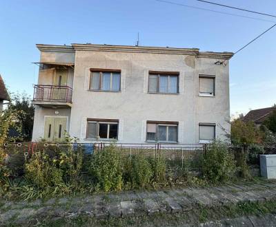 Dvojgeneračný rodinný dom s veľkou garážou a záhradou 