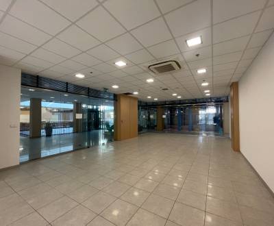 **Na prenájom: Moderné obchodné priestory v centre Galanty!** 93m2