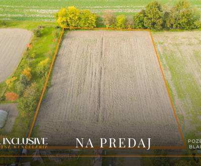 NA PREDAJ INVESTIČNÝ STAVEBNÝ POZEMOK, BLAHOVÁ