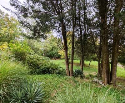 Investičná príležitosť, pozemok s výhľadom na Zemplínsku šíravu