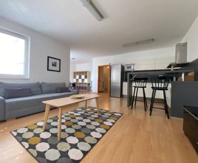 Prenájom 2 izbový 78 m2 + 30 m2 terasa,novostavba Koliba,zariadený