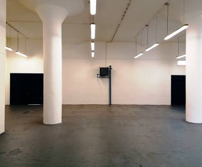 Sklad na prenájom Martin Priekopa 276 m2