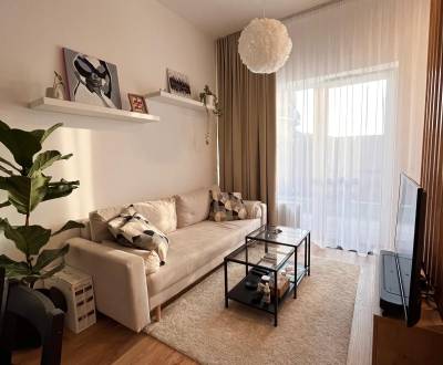 Prenájom moderného 1,5-izbového bytu s predzáhradkou – Slnečnice, Vila