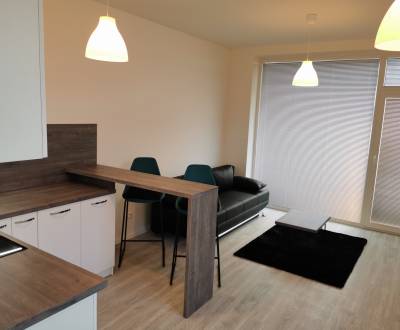 Zariadený 1 izb. byt s parkingom v novostavbe Slávičia ul., Miloslavov