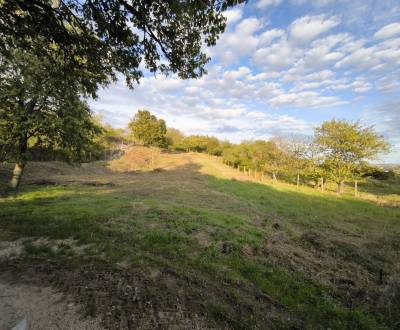 Predaj : Pozemok v Rači 700m2