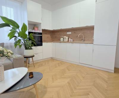 JEDINEČNÝ 2i byt, CENTRUM, BALKÓN, KLÍMA, VÝHĽAD, Špitálska ulica