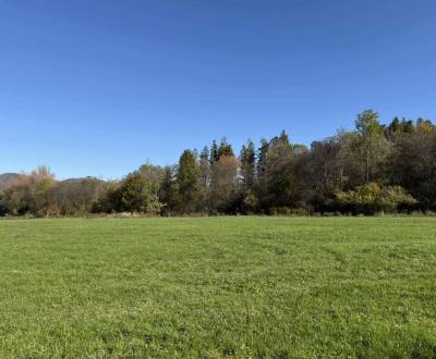 Investičný pozemok 4700 m2, KRASŇANY