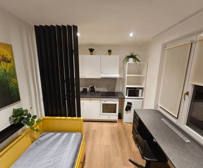 Kompletne zrekonštruovaná garsónka - BA Nové mesto