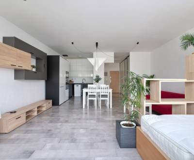 VELKOMETRÁŽNY 1 IZB.AP.BYT- TRNAVSKÁ CESTA, RUŽINOV, BRATISLAVA