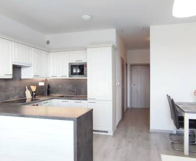 | 2-izbový byt, ul. Predmerského VINOHRADY | Trenčín 