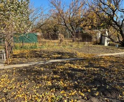 Predáme záhradu s možnosťou výstavby na Strednej ulici v Ružinove