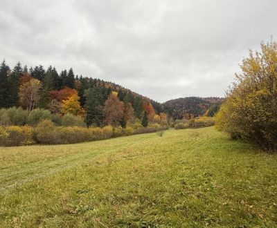 Na predaj rekreačný pozemok Lazy pod Makytou- Čertov 34.442 m2