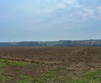 REWIN I na predaj - orná pôda v obci Vištuk