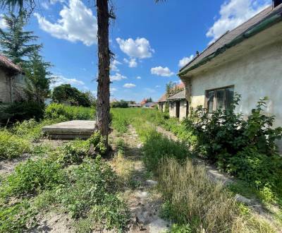 Veľký pozemok s rodinným domom v centre obce Orechová Potôň