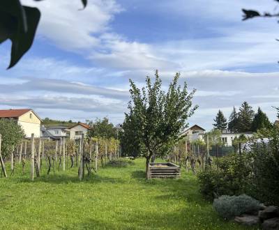 Rodinný dom  Modra - Kráľová