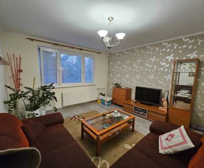 NA PREDAJ  2 - izbový byt v Dubnici nad Váhom