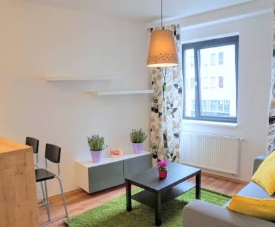 MODERNÝ 2i byt, NOVOSTAVBA, CENTRUM, Suché Mýto, Staré Mesto