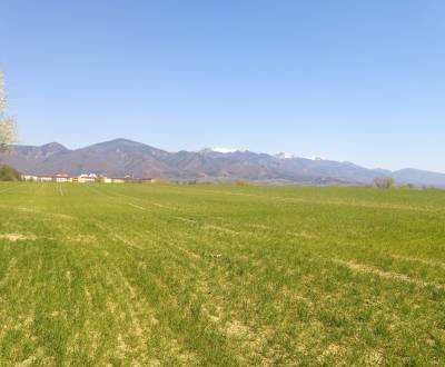 MARTIN-Záturčie pozemok na developerské a komerčné účely 2850m2