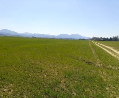 MARTIN- Záturčie pozemok na developerské a komerčné účely 4662 m2