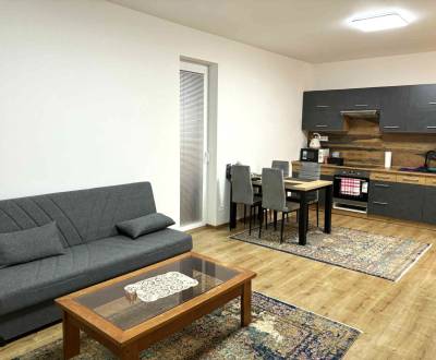 PRENÁJOM - 2 izbový byt,  park.miesto, ul. Dilongova, Prešov