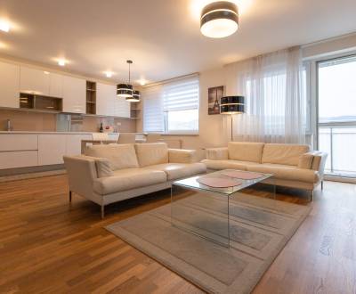 Priestranný 3-izbový byt s garážou, Dom Rustika