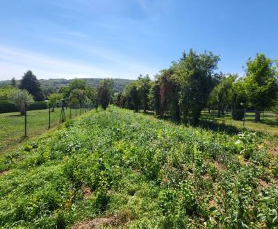 Veľkorysý stavebný pozemok v obci Edelstal 