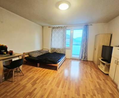 Slnečná,priestranná garsónka v kúpeľnom meste Trenčianske Teplice 