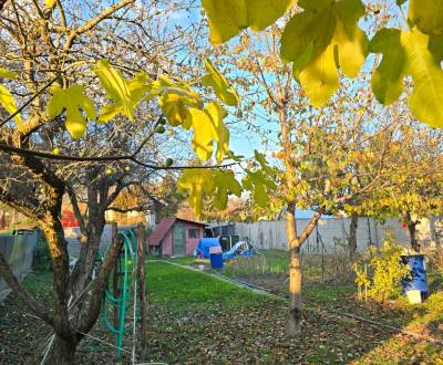 Predá záhradu s chatkou v Hamuliakove.