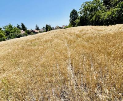 Vám EXKLUZÍVNE ponúka na predaj priestranný po